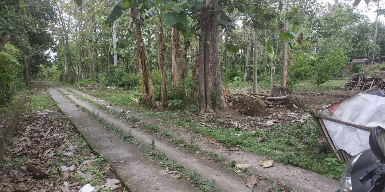 DIJUAL TANAH PEKARANGAN DOLOPO MADIUN