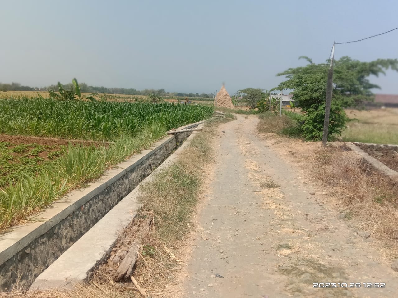DIJUAL TANAH SAWAH PANEKAN MAGETAN