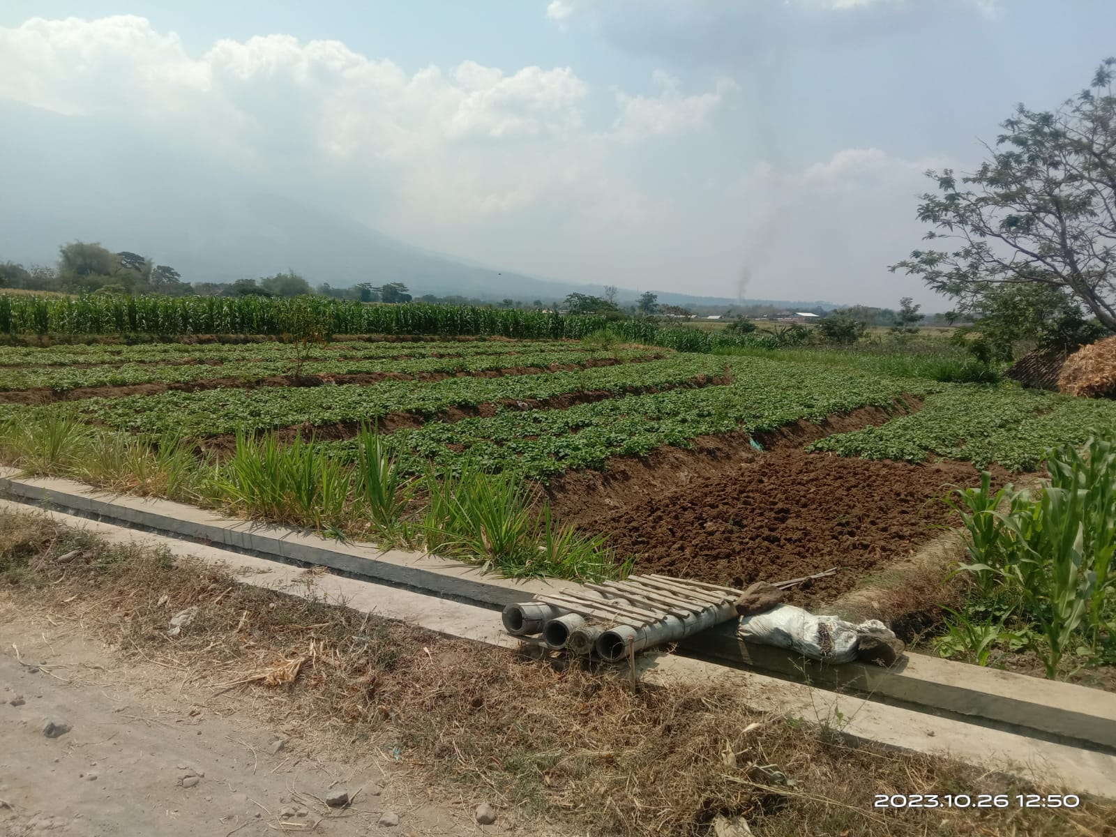 DIJUAL TANAH SAWAH PANEKAN MAGETAN
