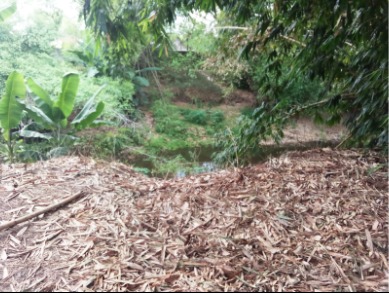 DIJUAL TANAH PEKARANGAN.