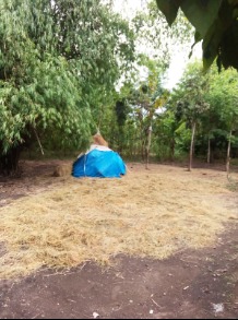 DIJUAL TANAH PEKARANGAN.