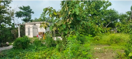 DIJUAL TANAH DAN BANGUNAN  KARANGJATI NGAWI